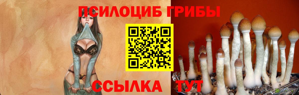 где можно купить наркотик  Галлюциногенные грибы GOLDEN TEACHER  Снежинск  Вход с VPN  Псилоцибиновые грибы Magic Shrooms 